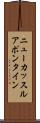 ニューカッスルアポンタイン Scroll
