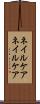ネイルケア Scroll