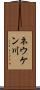 ネウケン川 Scroll