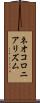 ネオコロニアリズム Scroll