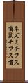 ネズミチフス菌 Scroll