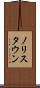 ノリスタウン Scroll