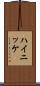 ハイニッケ Scroll