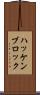 ハッケンブロック Scroll