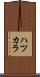 ハツカラ Scroll