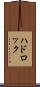 ハドロック Scroll