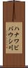 ハナワビバウシ川 Scroll
