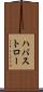 ハバストロー Scroll