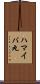ハマイバ丸 Scroll