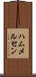 ハムメルセン Scroll