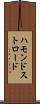 ハモンドストロード Scroll
