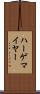 ハーゲマイヤー Scroll