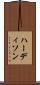 ハーディソン Scroll