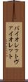 バイオレット Scroll