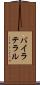 バイラテラル Scroll