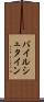バイルシュタイン Scroll