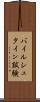 バイルシュタイン試験 Scroll