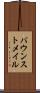 バウンストメイル Scroll
