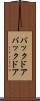 バックドア Scroll