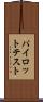 パイロット・テスト Scroll