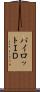 パイロットＩＤ Scroll