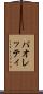 パオレッティ Scroll