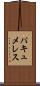 パキュメレス Scroll