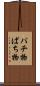 パチ物 Scroll