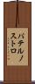 パテルノストロ Scroll