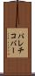 パレチコバー Scroll
