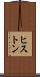 ヒストン Scroll
