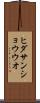 ヒダサンショウウオ Scroll
