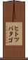 ヒトツバタゴ Scroll