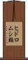 ヒドロムシ類 Scroll
