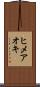 ヒメアオキ Scroll