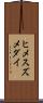 ヒメスズメダイ Scroll