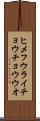 ヒメフウライチョウチョウウオ Scroll