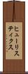 ヒューリスティクス Scroll