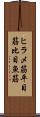 ヒラメ筋 Scroll