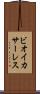 ビオイ・カサーレス Scroll