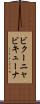ビクーニャ Scroll