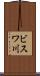 ビスワ川 Scroll