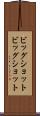 ビッグショット Scroll