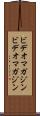 ビデオマガジン Scroll
