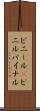 ビニール(P) Scroll