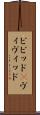 ビビッド(P) Scroll