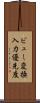ビュー変換入力優先度 Scroll