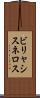ビリャシスネロス Scroll