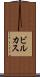 ビルカス Scroll