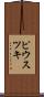 ピウスツキ Scroll